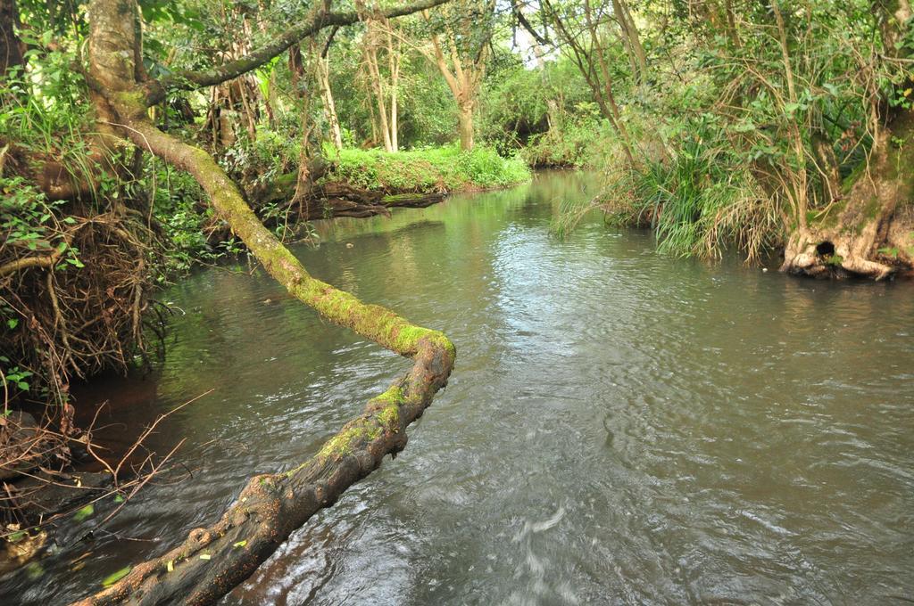 Naiberi River Campsite&Resort Eldoret Esterno foto